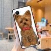 Yorkshire Terrier Dog Case For Realme C55 C33 C31 C35 C30 C11 C15 C25s C21Y GT Neo 5 3T 2T 8 9 10 11 Pro Plus