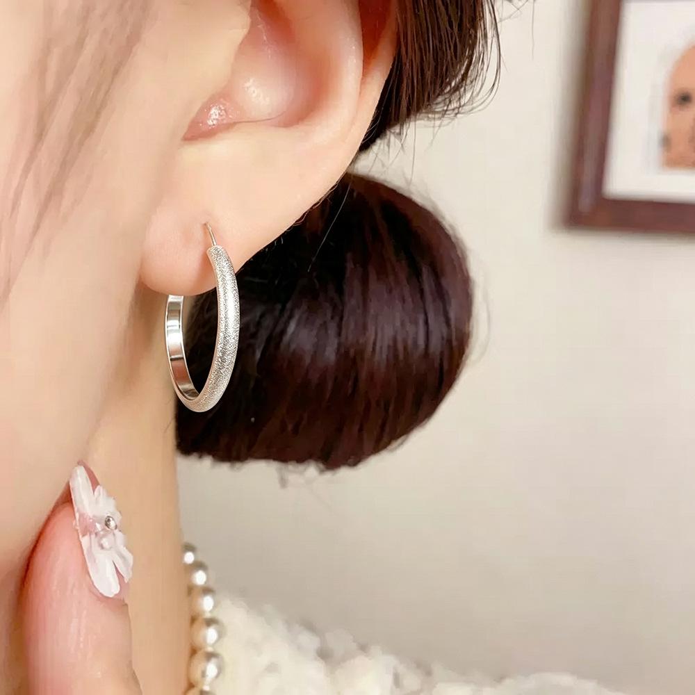 Exquisite Crystal Hoop Earrings for Women - Personalized High-End Fashion, Versatile Light Luxury Style