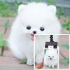 Phone Clip for Pet Photos, Dog Photo Shoot Tool, Bendable Pole with Pet Treat Clip, Get Your Pet to Look at the Camera Instantly for Cats Dogs