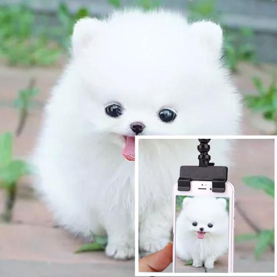 Phone Clip for Pet Photos, Dog Photo Shoot Tool, Bendable Pole with Pet Treat Clip, Get Your Pet to Look at the Camera Instantly for Cats Dogs
