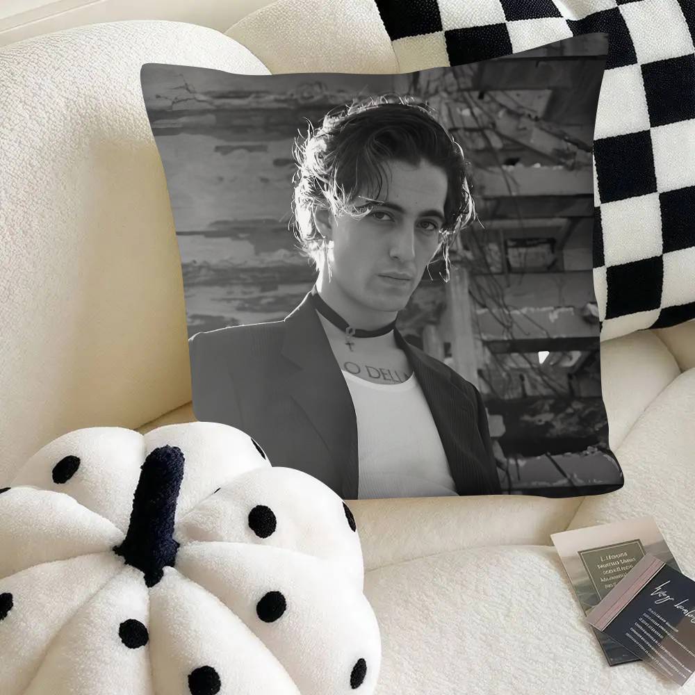 Singer Damiano David Pillow Case Fashion Square Pillowcase Bedroom Sofa Room Ins Decoration Leisure