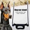 Sticker Fixed Support Tool Dog Ear Stand Puppy Ear Care Tools Pet Supplies Assist Erected Ear Tool