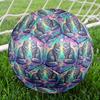 Galaxy Cats Indoor Soccer Ball Size 5 Colorful All Ages Machine Stitched PVC Competition Ready Durable High-Bounce