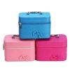Large Capacity 2024 Summer Women's Cute Korean Makeup Bag - Multifunctional Storage Case