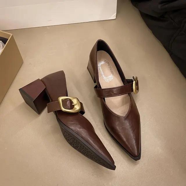 2025 New French Retro Leather Shoes for Women in Spring, Versatile, Pointed Single Shoes, Thick Heels, Straightened High Heels