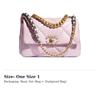 Chanel 19Bag Shiny Lambskin Gold, Silver, Rhodium Metal Flap Bag, Crossbody Bag, Shoulder Bag Women's Light Pink Red AS1160-B04852-NC022