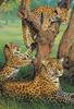 Puzzle a hlavolamy – Puzzle