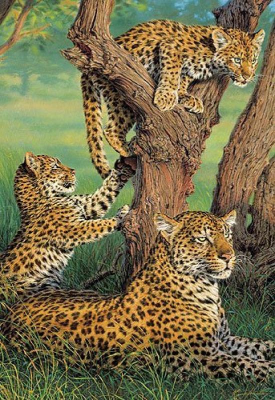300 Pieces Aim to be a Puzzle Family Outing Master! (26x38cm)