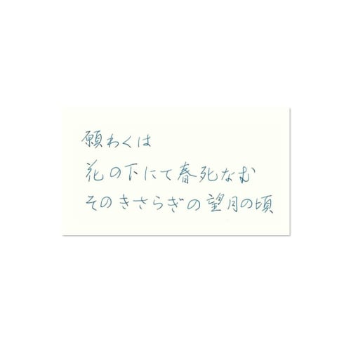 Pilot Fountain Pen Ink Color Drop Iroshizuku Mini 15ml Moonlit Night INK15TY