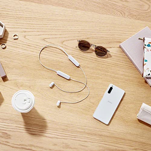 Sony WI-C100 Wireless Earbuds, Bluetooth Compatible, 25-Hour Battery Life, IPX4 Water Resistant, DSEE Compatible, Black, WI-C100 BZ, Small