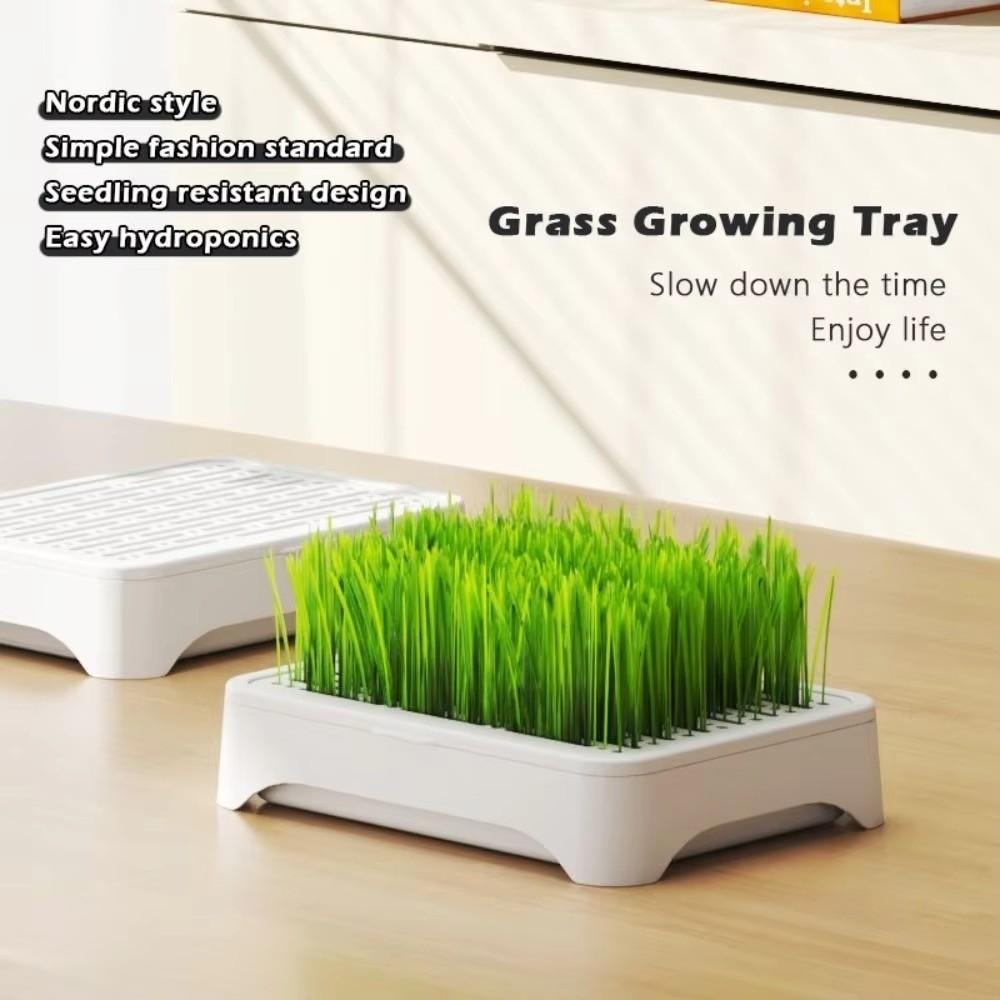Self-planted Tray Cat Grass Planter Anti-Pull Out Wheat Seedling Pot Home Gardening