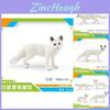 Realistic Polar Fox Model Set Four Variants Of Arctic Fox Figurines For Display And Collecting