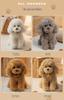 Cute Realistic Teddy Dog Plush Toy - Children's Birthday Gift & Desk Companion