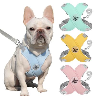 Dog Harness with Leash Set X-Frame No Pull Pet Harness Adjustable Choke Free Dog Vest Harness for Small Medium Dogs & Puppies