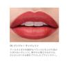 [RMK Official] RMK The Matte Lipcolor 05 Ginger Tangerine The Matte Lipcolor (Matte Lipstick)