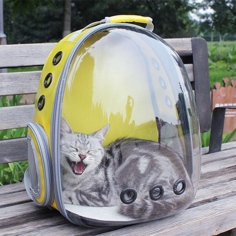 dome backpack for cats