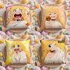 T-Tis Time for T-Torture, Princess Cushion Cover Home & Car Multi-Scene Pillow Cover - Reversible, Soft & Durable for Daily Use