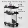 Multi-layer Mobile Storage Rack with Brakes for Office/Home
