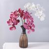 80 CM Length Artificial Orchid Flowers Moisturizing Latex Real Touch Orchids  Home Decoration