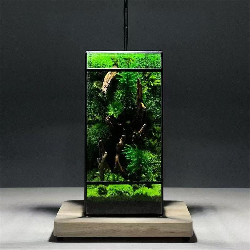 Mini Rainforest Fern Moss Ecological Square Shape Geometric Glass Terrarium Tabletop Plant Glass Vase Container Table Greenhouse