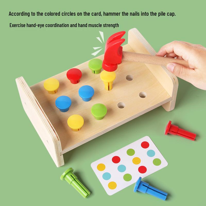 2-in-1 Children's Educational Color Matching Puzzle Set