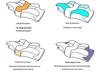 Butterfly Memory Foam Cervical Neck Support Pillow - Non-Collapsing Ox Horn Design
