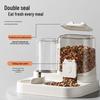Transparent Dual Cat and Dog Water Dispenser & Feeder