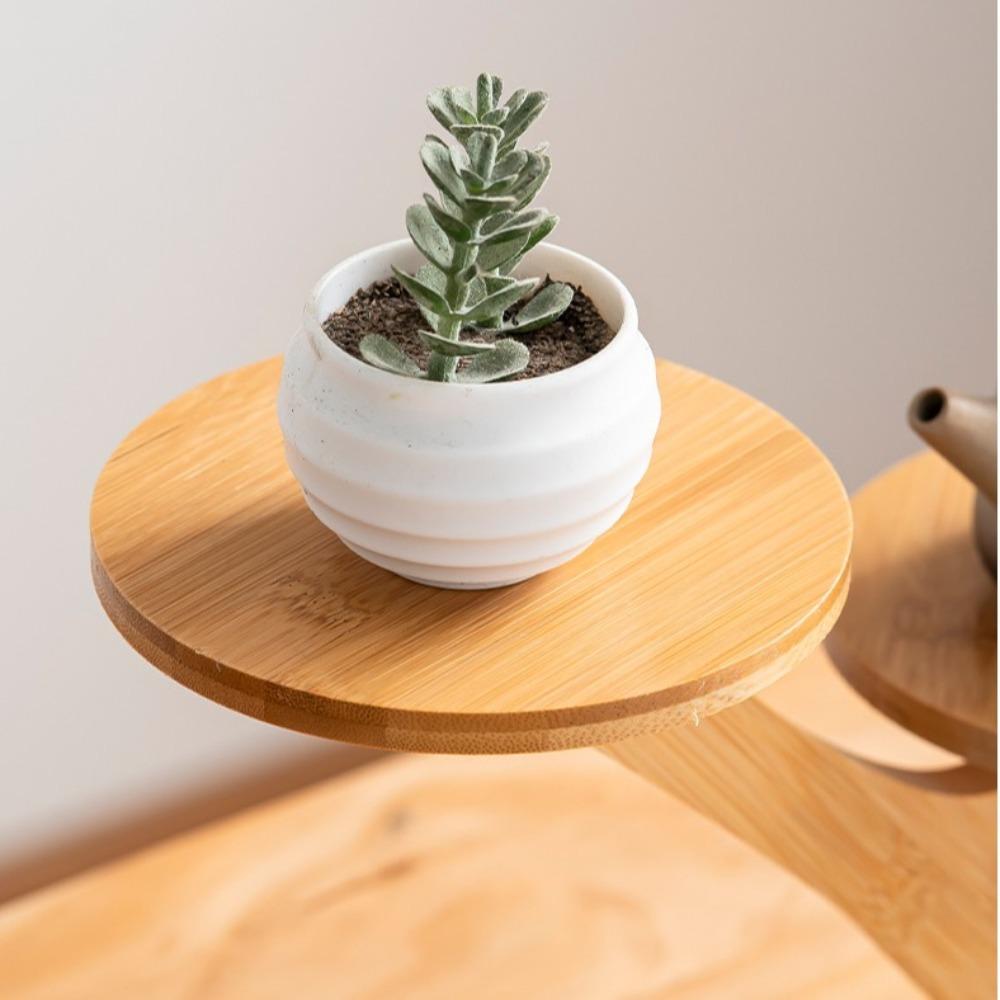 Tree Branch Shape Succulents Bonsai Organizer Bamboo Shelf Desktop Plants Stand  for Window