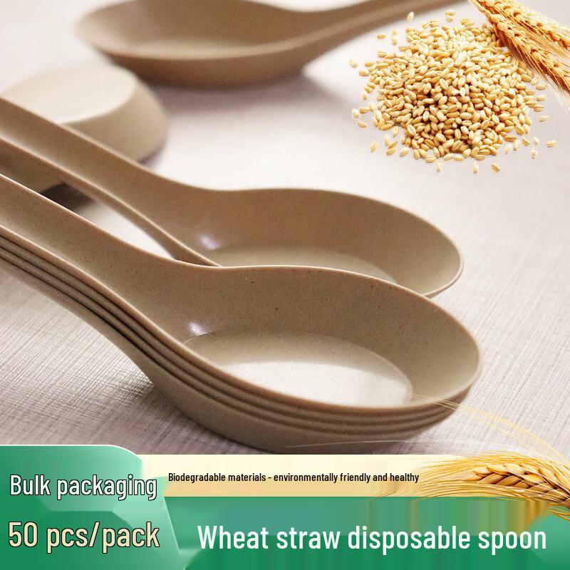 ZISIZ Disposable Chinese Spoon