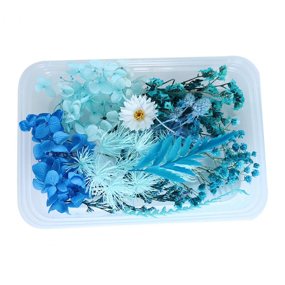 1 Box DIY Aromatherapy Candle Molds Dried Flowers Dry Plants Preserved Flower for Epoxy Resin Casting Mold Crafts Tools