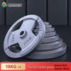 Solid Cast Iron Barbell Plate