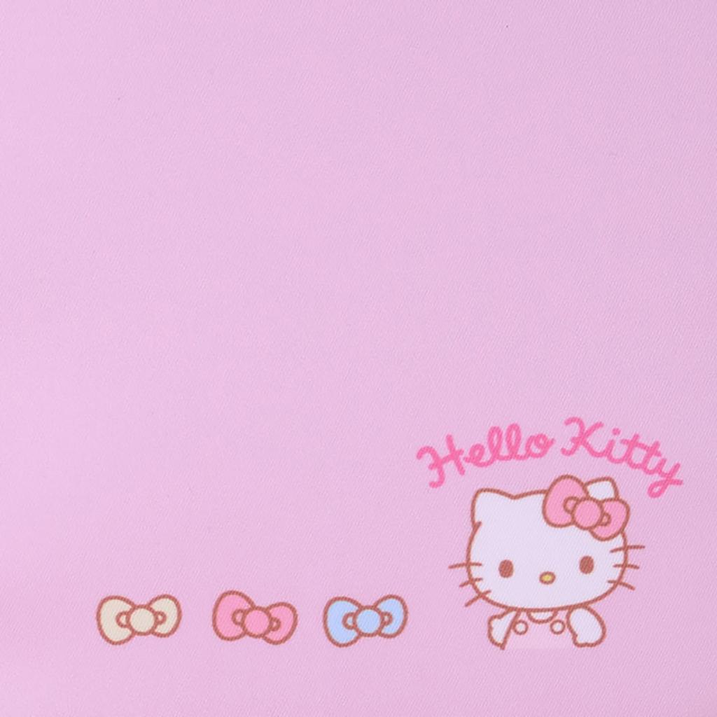 Sanrio Hello Kitty Stationery Case Stand-Up (430919)