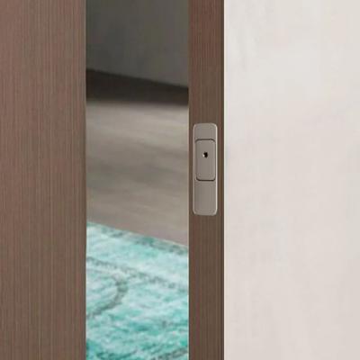 Magnetisch Automatisch Onzichtbaar Magnetisch Slot Push-Open Ontwerp Stille Werking Deurslot Systeem Anti-diefstal Functie Eén Druk Open