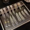Silver Needle High-end Style Claw Zircon Flowing Tassel Earrings for Women - Light Luxury, Small-Scale, Unique Style Long Earring Set