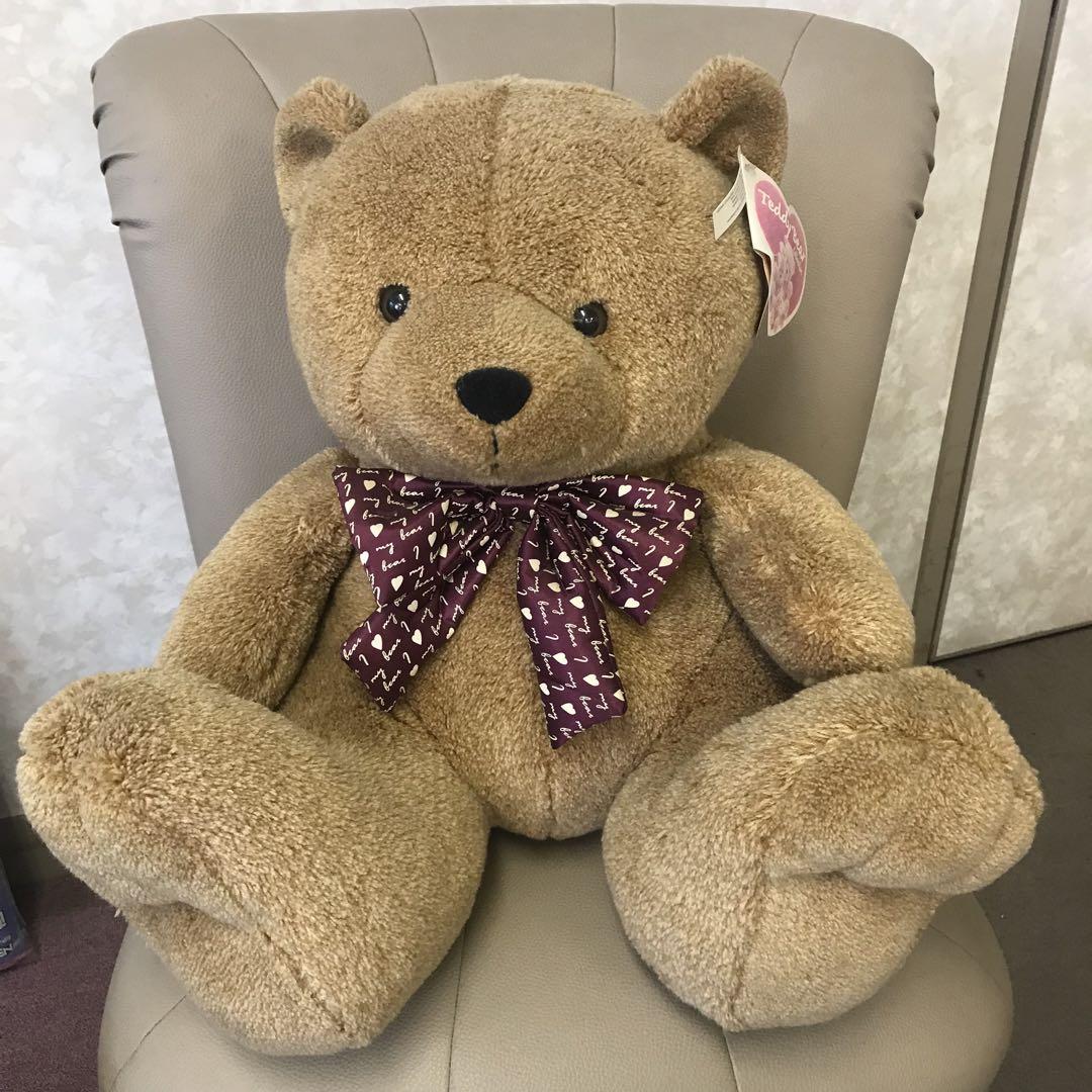 

[USED] extra large teddy bear