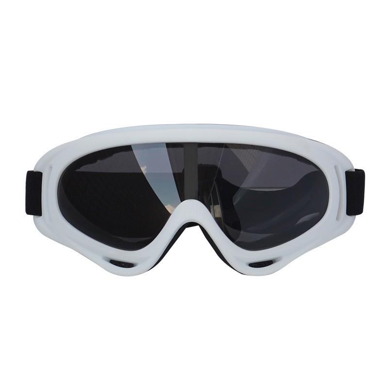 X400 Ski Goggles With Silver Gray Lens Anti-Fog Windproof Snowboard Cycling Protective Eyewear Adults White Frame Gray Lens
