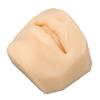 Human Mouth Model Soft Silicone High Simulation Lifelike Lips Model for Jewelry Display