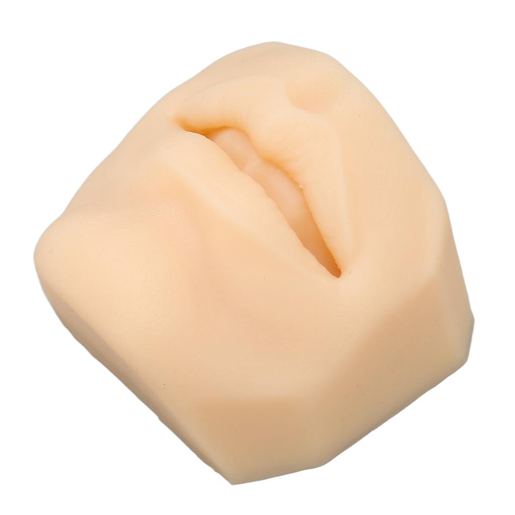 Human Mouth Model Soft Silicone High Simulation Lifelike Lips Model for Jewelry Display