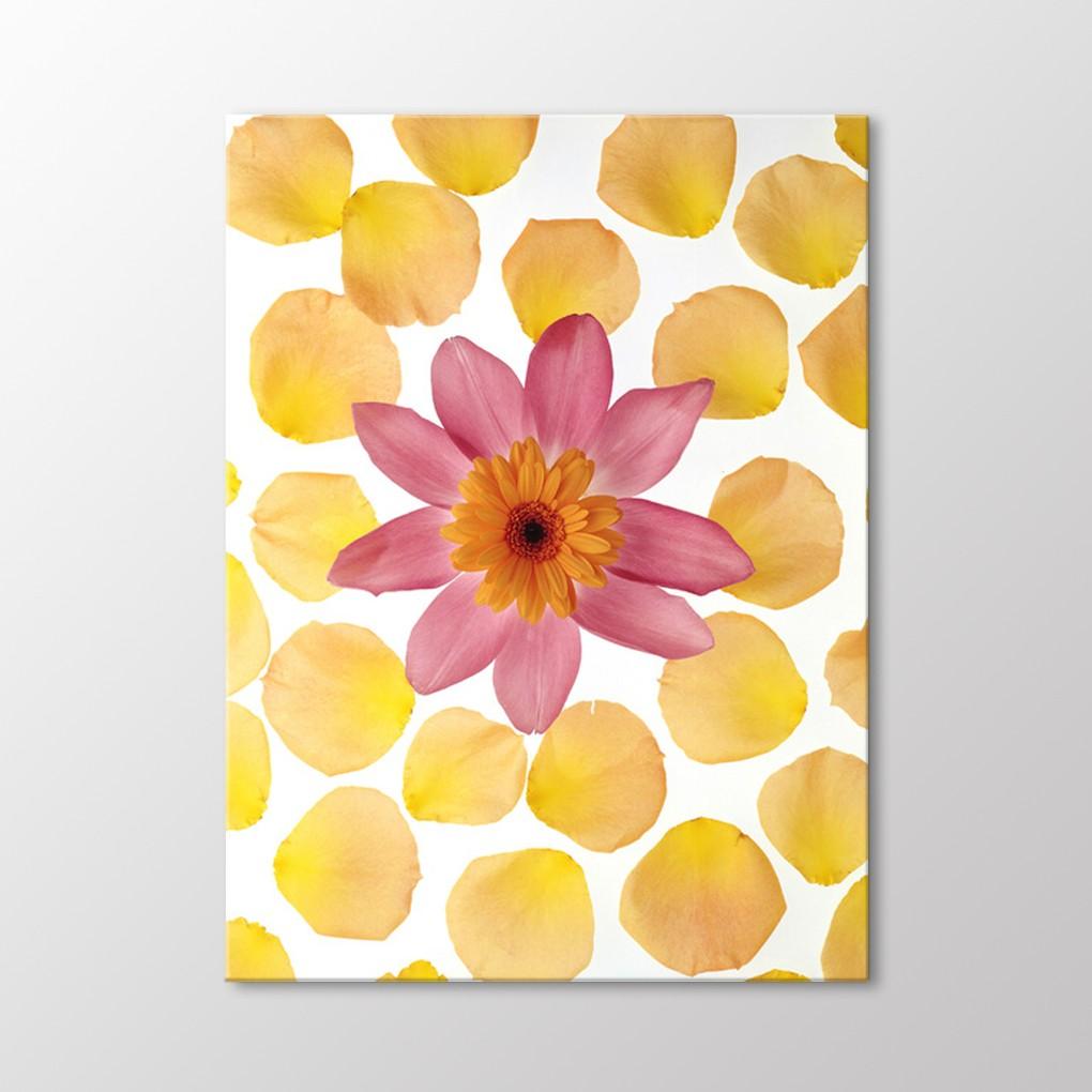 

Хризантемы и листья таблицы