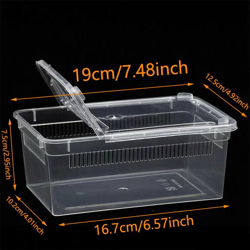 Premium Reptile Feeding Box For Small Pet Lizards Tortoises Snakes