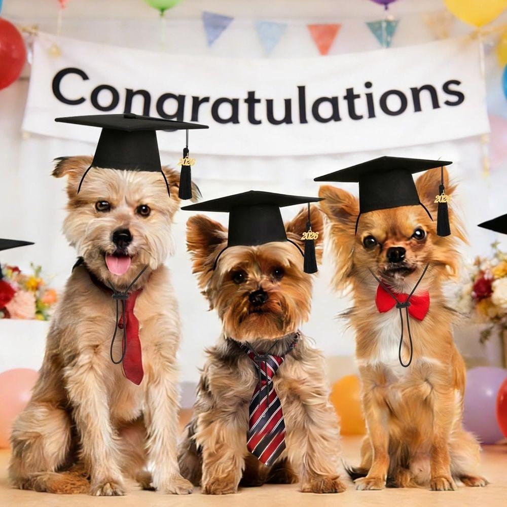 with 2026 Tassel Dog and Cats Graduation Hats Mini Graduation Cap Holiday Costume Accessories