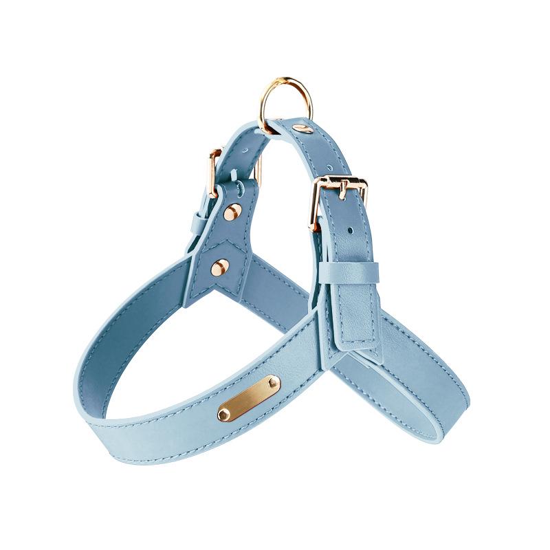 Dego Fashion Wasserdichtes Hundegeschirr & Leinen-Set für Kleine/Mittelgroße Hunde