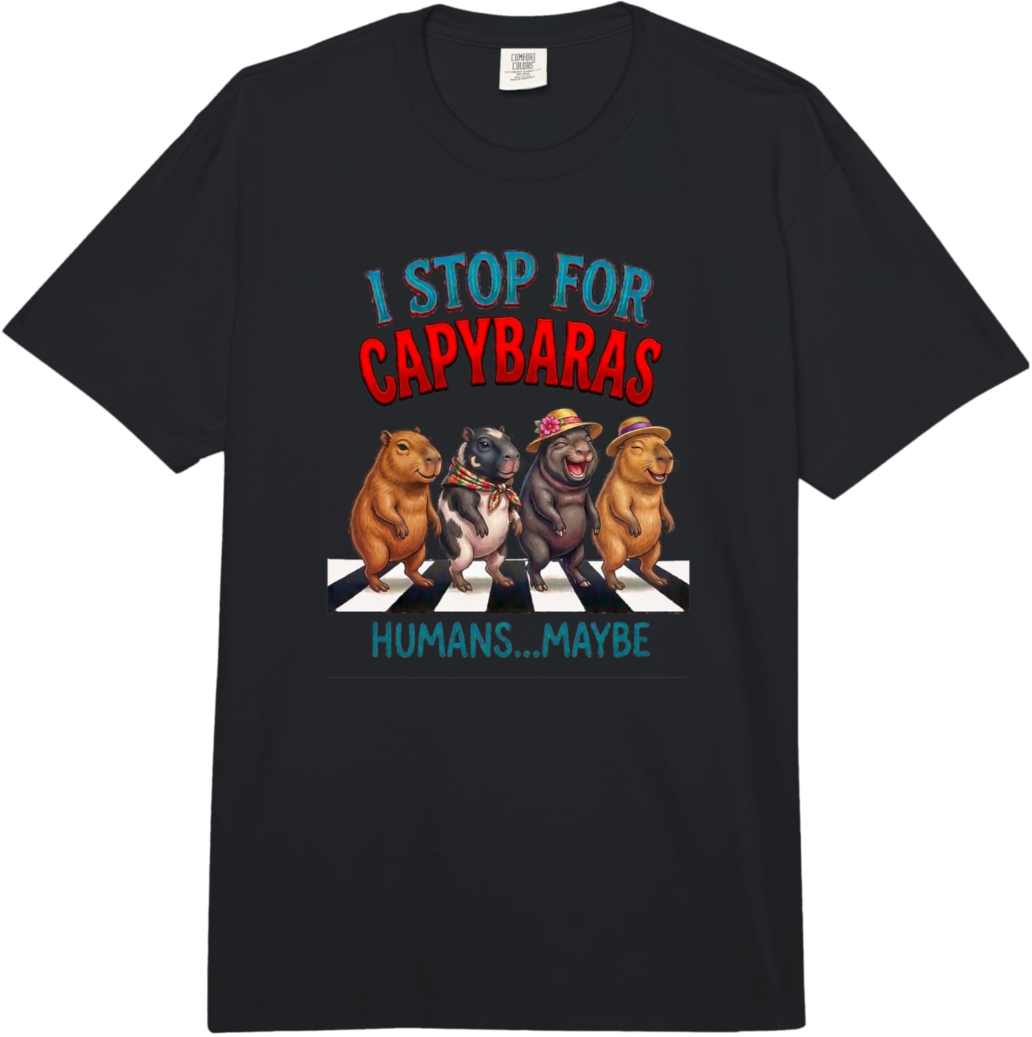 

I Stop for Capybaras Humans Maybe Funny Pet Animal Graphic Comfort Colors Adult Heavyweight T-Shirt 5XL різнокольоровий