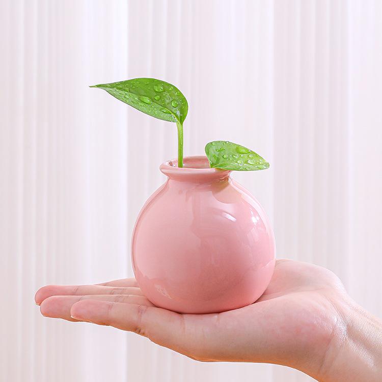 Small Ceramic Desktop Hydroponic Vase for Pothos - Simple Decorative Ornament for Office