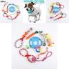 High-quality Cotton Rope Dog Toy Set With Durable Chew Balls For Playful Pets