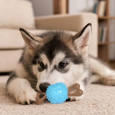 Psi – Hračky pro psy