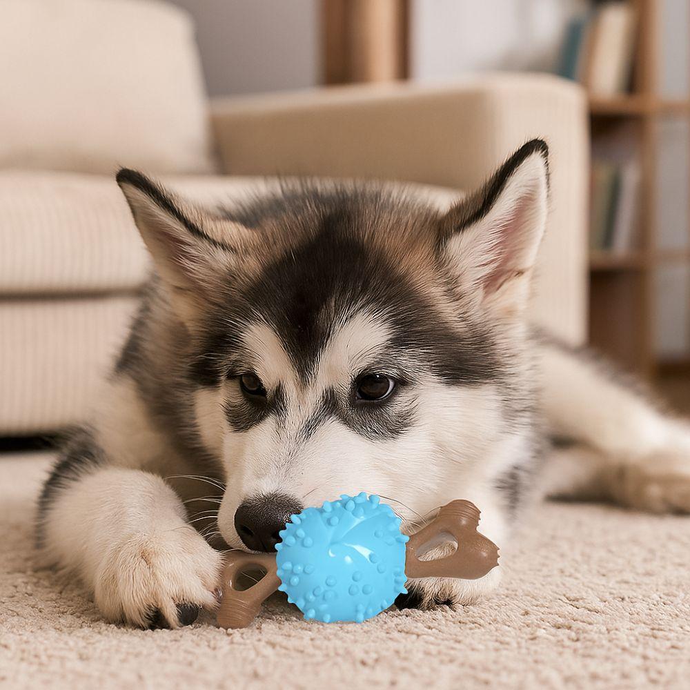 Beißfestes Hundeknochen Molar Ball Weiches Hundekauspielzeug Hund Beißring Haustiertraining