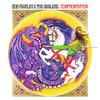 Marley Bob & The Wailers - Confrontation (CD)