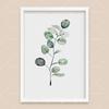 Bohemian Watercolor Tropical Plant Canvas Painting Monstera Banana Leaf Eucalyptus and Fern Art Posters Aesthetic Bedroom Decor