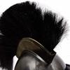 Spartan Helmet King Leonidas 300 Movie Steel Armor Cosplay LARP Wearable Display Helmet